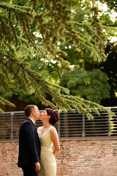 Casal de noivas beijando em seu dia do casamento — Fotografia de Stock