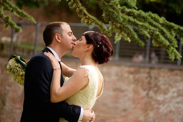 Pareja nupcial besándose el día de su boda — Foto de Stock