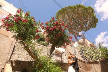 güzel gelin ve damat