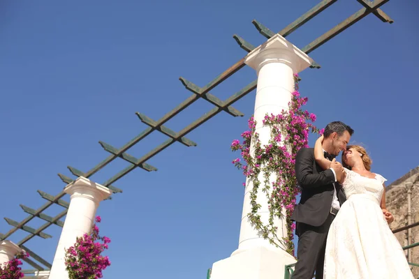 Prachtige bruid en bruidegom poseren buiten — Stockfoto