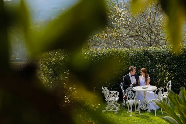 Groom and bride in the garden — Stock Photo, Image