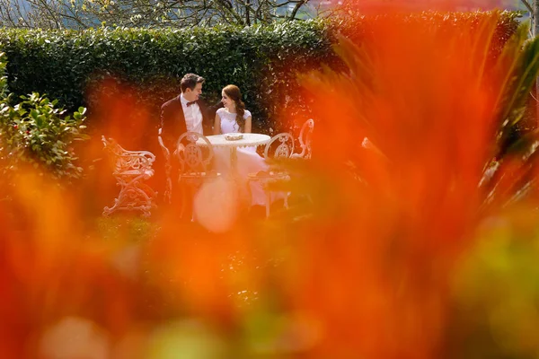 Bruid en bruidegom in de tuin — Stockfoto