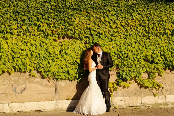Sposo e sposa vicino al muro coperto di foglie — Foto Stock
