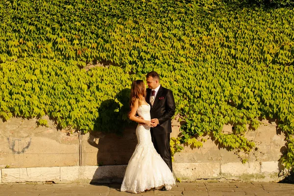 Brudgummen och bruden nära väggen klädd i leafs — Stockfoto