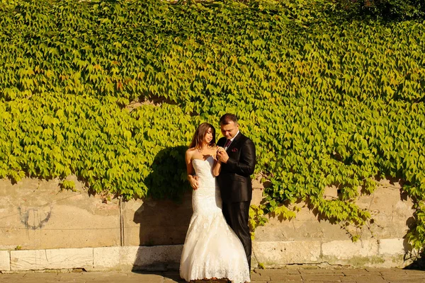 Γαμπρός και νύφη κοντά στο τοίχο καλύπτονται από φύλλα — Φωτογραφία Αρχείου