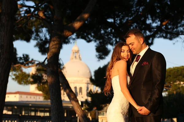 Groom and bride posing outdoor — Stock Photo, Image