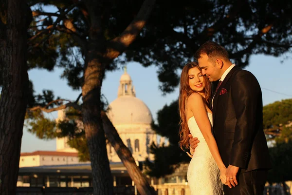 Novio y novia posando al aire libre —  Fotos de Stock