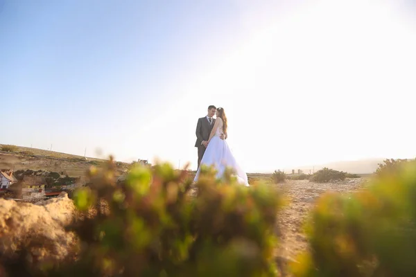 Bride and groom posing outdoor — Stock Photo, Image