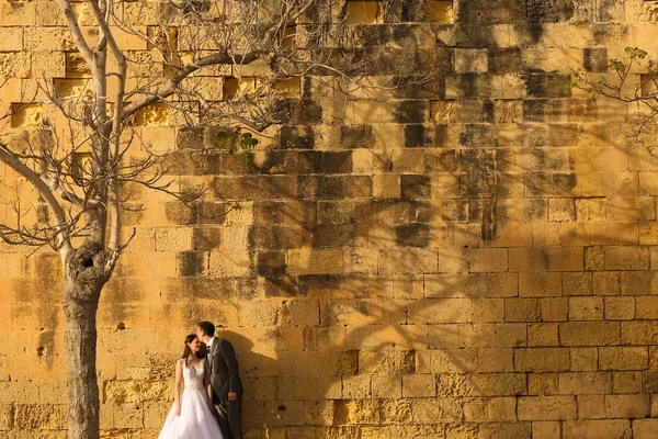 Mariée et marié près d'un mur de briques — Photo