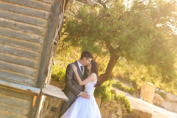 Bruid en bruidegom poseren in zonlicht — Stockfoto