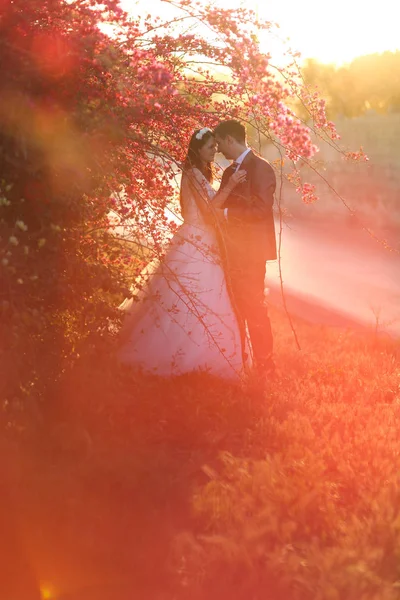 Damat ve gelin kırmızı çiçek yakınındaki — Stok fotoğraf