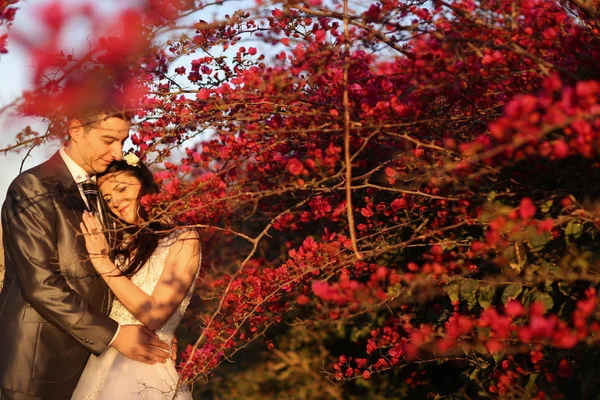 Groom and bride near red flower — Stock Photo, Image