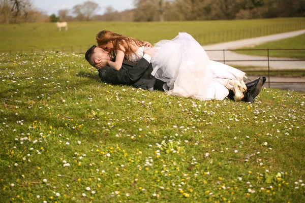 Sposo e sposa posa su erba e baci, messa a fuoco selettiva — Foto Stock