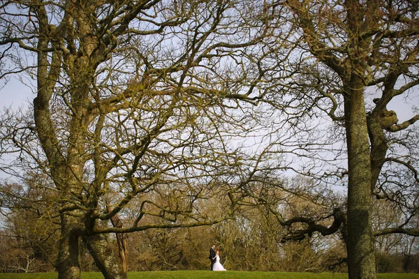 Ženich a nevěsta v parku — Stock fotografie