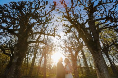 Gelin ve damat parkta poz veriyorlar.