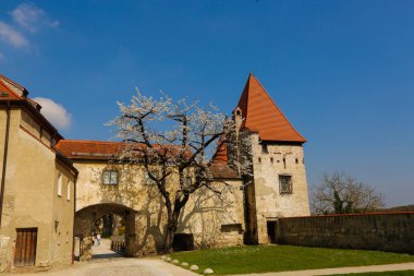 Bir kale avlusuna ağacında