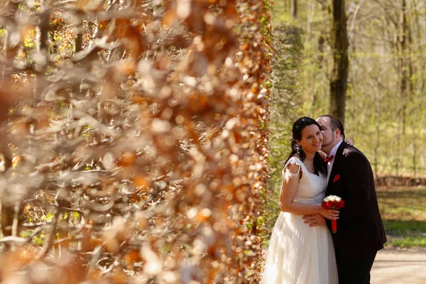 Groom and bride in nature — Stock Photo, Image