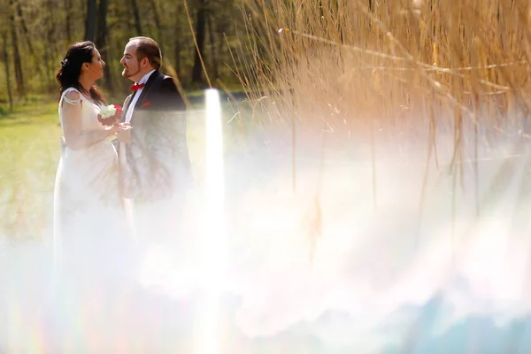 Ženich a nevěsta v přírodě — Stock fotografie