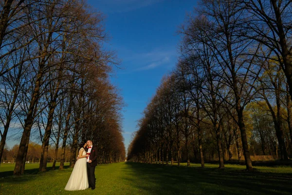 Novia y novio posando en el parque —  Fotos de Stock