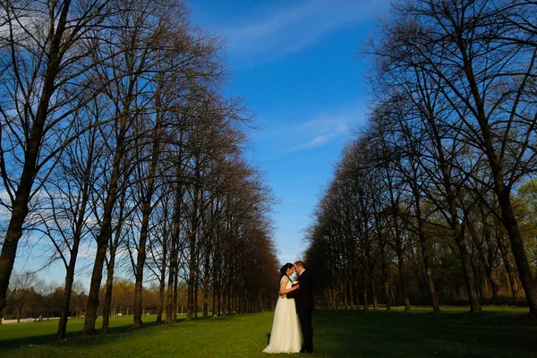 Sposo e sposa in posa nel parco — Foto Stock