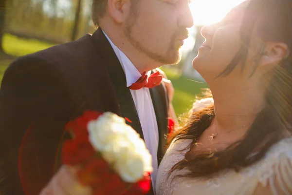 Ritratto di sposo e sposa che si baciano — Foto Stock