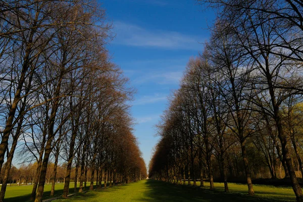 空と公園の木々 の美しい景色 — ストック写真