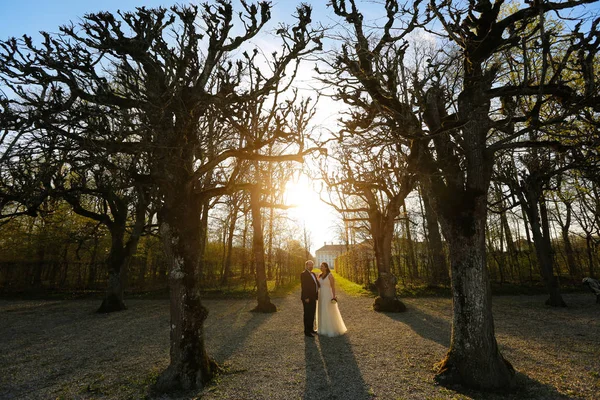 花嫁と新郎が公園でポーズをとって — ストック写真