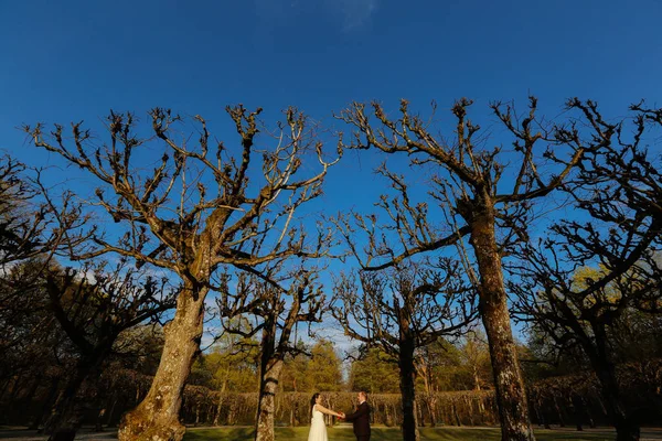 Sposo e sposa in posa nel parco — Foto Stock