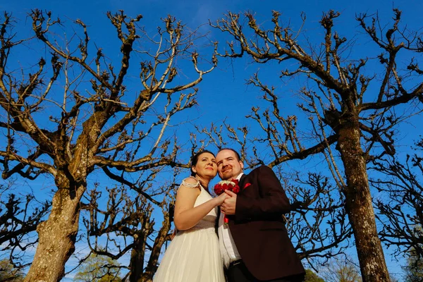 Nevěsta a ženich pózují v parku — Stock fotografie