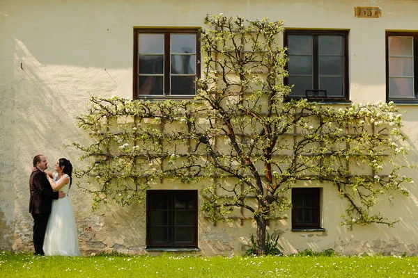 Mariée et marié en plein air un jour de printemps — Photo