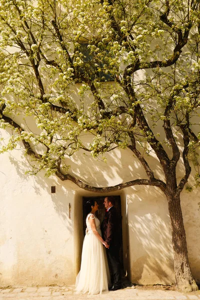 Sposo e sposa all'aperto in una giornata di primavera — Foto Stock