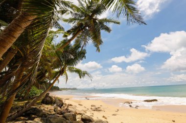 güzel bir plaj manzara