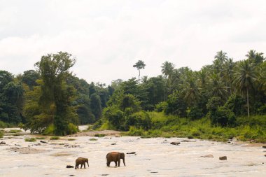 Panoramik filler su ile