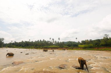 Panoramik filler su ile