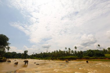 Panoramik filler su ile