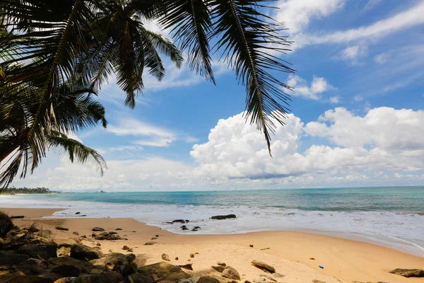 güzel bir plaj manzara