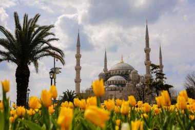 istanbul'da cami