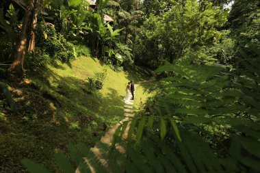 Gelin ve damat bir tropik bahçe