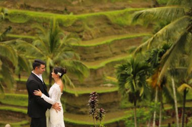 Gelin ve damat pirinç plantasyon yakınındaki