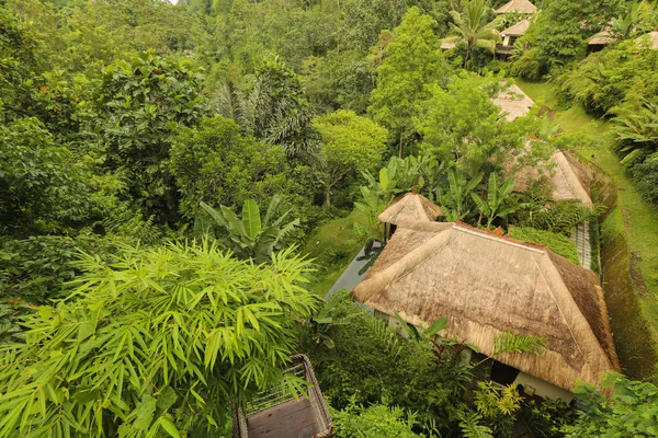 Resort in a tropical forest