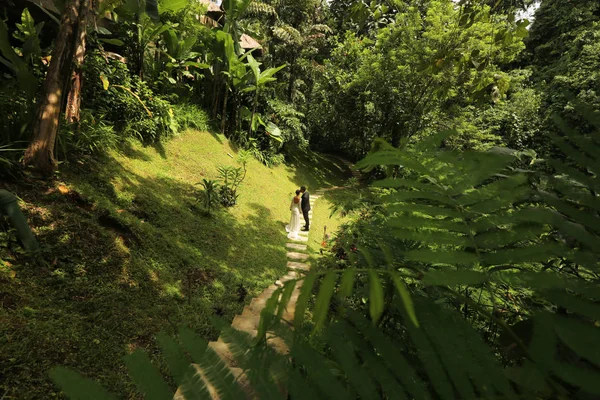 Novia y novio en un jardín tropical —  Fotos de Stock