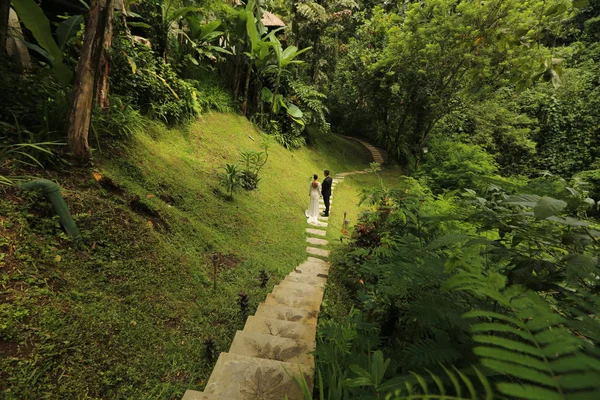 Novia y novio en un jardín tropical —  Fotos de Stock