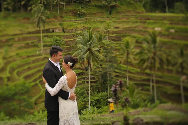 Νύφη και γαμπρός κοντά φυτεία ρυζιού — Φωτογραφία Αρχείου