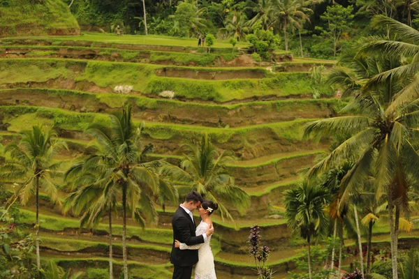 Νύφη και γαμπρός κοντά φυτεία ρυζιού — Φωτογραφία Αρχείου