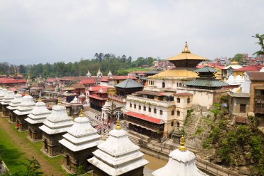 Pashupatinath Tapınağı Nepal