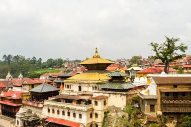 Pashupatinath Tapınağı Nepal