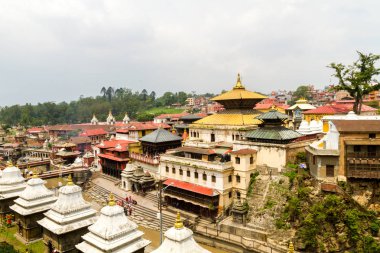 Pashupatinath Tapınağı Nepal