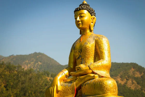 Gylne Buddha-statuer – stockfoto