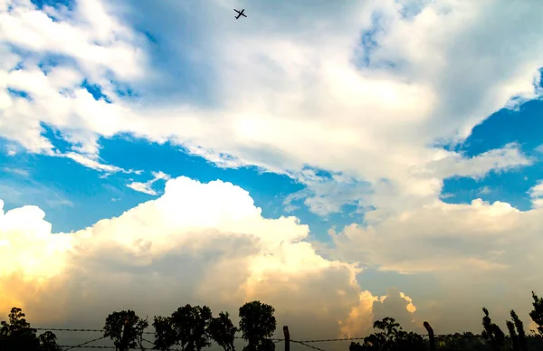 Paysage avec ciel bleu, nuages et arbres blancs — Photo