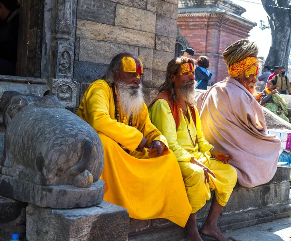 Farbenfrohe Sadhu beim Mahashivaratri-Fest — Stockfoto